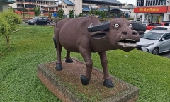 Tượng trâu gây