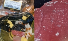 Nguy cơ bị nhiễm khuẩn do ăn cá sống 