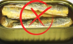 Những loại cá