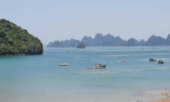 Tìm thấy thi thể mẹ và con trai 14 tháng tuổi kẹt trong khoang tàu đắm