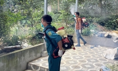 Hà Nội ghi nhận thêm 31 ổ dịch sốt xuất huyết mới trong một tuần