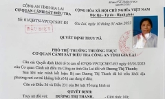 Bắt cụ bà 73 tuổi vay mượn gần 14 tỷ đồng rồi bỏ trốn