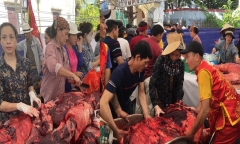Thịt trâu chọi Đồ Sơn 2023 giá 3,5 triệu/kg, du khách tranh nhau mua