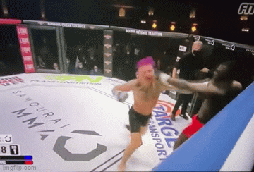Video: Võ sĩ MMA giáng đòn 