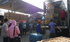 Ca mắc cúm A(H9/N2) đầu tiên tại Việt Nam: Quanh nơi bệnh nhân sống buôn bán gia cầm