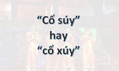 Cổ xúy hay Cổ súy: Đâu mới là cách viết chính xác?