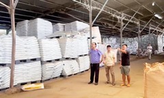 Vụ triệt phá đường dây sản xuất, buôn bán phân bón giả: Người bị hại sẽ được bồi thường khi nào?