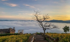 Những homestay Đà Lạt có kiến trúc độc đáo