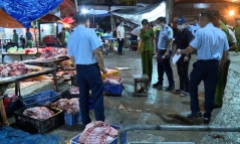 Khởi tố 5 bị can giết mổ, tuồn lợn bệnh ra thị trường tiêu thụ ở Hà Nội