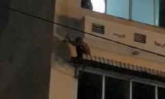 Bị vây bắt,