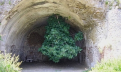 Bí ẩn xác ướp bé gái năm trăm còn chớp mắt, được ví như