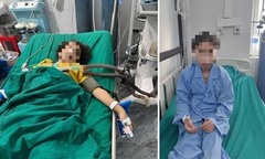  Vụ 3 mẹ con thương vong khi uống nước lá cây rừng: Bộ Y tế vào cuộc