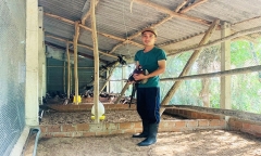 Anh nông dân lãi lớn nhờ nuôi loài 