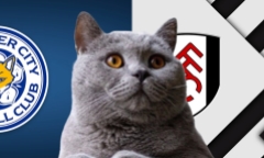 Nhận định soi kèo trận Fulham-Leicester, Ngoại hạng Anh, 21h ngày 24/8: Mèo tiên tri tung chiêu mới