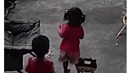 Video: Chạm mặt rắn hổ mang, bé gái sợ hãi bật khóc