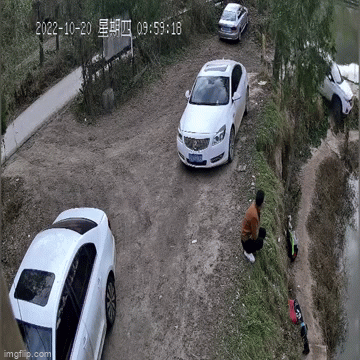 Ô tô tự lăn bánh rồi lao xuống hồ cá, chủ xe sững sờ đứng nhìn