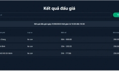 Mức tiền trúng đấu giá biển số xe phiên chiều 21/9 hạ nhiệt: Chốt giá dưới mức 300 triệu đồng