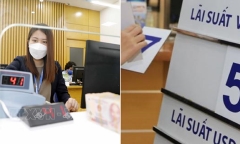 Có 200 triệu gửi tiết kiệm ngân hàng, mỗi tháng lãi bao nhiêu?