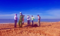 Người đàn ông mặc quần bơi tử vong trên bờ biển Phan Thiết là ai?