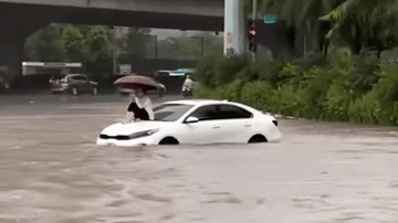 Diện mạo xinh đẹp của nữ tài xế gây 
