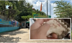 Xuất hiện clip 