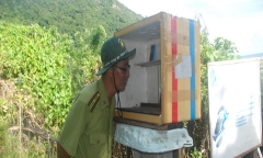 Những câu chuyện tình đẫm lệ ở Côn Đảo