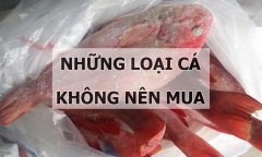 5 loại cá không nên mua dù giá “rẻ như cho”