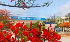 Xác minh thông tin thầy giáo bị tố quan hệ bất chính làm nữ sinh có thai ở Bình Thuận