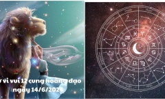 Tử vi vui 12 cung hoàng đạo ngày 14/6: Sư Tử có một số đột phá và tiến bộ