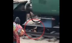 Clip: Bị tàu đâm ngã trên đường ray, người phụ nữ thoát 