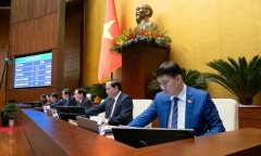 Nghị quyết về tổ chức các cơ quan của Quốc hội