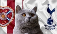 Nhận định soi kèo trận Hearts vs Tottenham 1h ngày 18/7: Mèo tiên tri sắm vai chuyên gia
