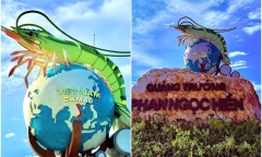 Cận cảnh 