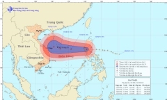 Tin bão gần, cơn bão số 11