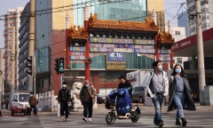 Chuyên gia Trung Quốc bảo vệ chiếc lược