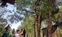 Lập lán trại trên cây để giao dịch, điều hành đường dây ma túy ở vùng biên