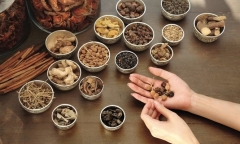 Cảnh báo tình trạng lương y gia truyền 