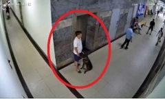 Vụ clip thành viên ban quản trị chung cư bị hành hung, nghi do nhắc đeo rọ mõm cho chó: Công an vào cuộc xác minh