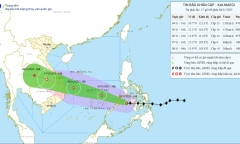 Đà Nẵng sau bão số 13 Kalmaegi: Loạt cây ven biển bật gốc, đường phố ngập rác