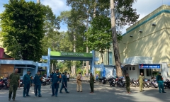 Công an TP.HCM thông tin chính thức vụ nhánh cây gãy đè chết 2 người