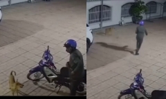Phát hiện kẻ lạ lẻn vào sân định trộm xe máy, chú chó có thái độ