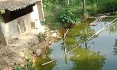 Bé trai gần 2 tuổi tử vong thương tâm dưới ao trong vườn nhà