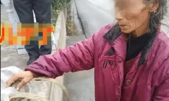 Cụ bà 74 tuổi cuốc bộ 7 tiếng đem 20kg khoai tây cho con trai 8 năm không về nhà