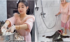 Nữ vlogger ẩm thực khiến dân mạng phẫn nộ khi hướng dẫn xẻ thịt cá sấu nặng 90kg tại nhà