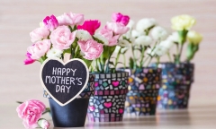 Lời chúc Ngày của Mẹ ý nghĩa và ngọt ngào nhất