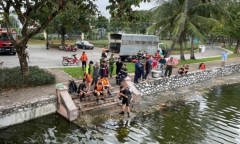 Hà Nội: Tìm thấy thi thể bé trai dưới hồ ở công viên Thống Nhất