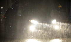 11 người chết, 8 người bị thương do bão số 3