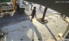 Đốn hạ cây nhưng không báo trước, công ty phải đền bù 12 triệu đồng cho chủ nhà