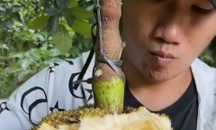 Chàng trai tay không tách quả mít khiến dân mạng trầm trồ, nhìn bên trong mới thực sự gây 