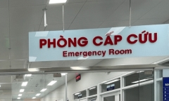 Suýt mất mạng vì 